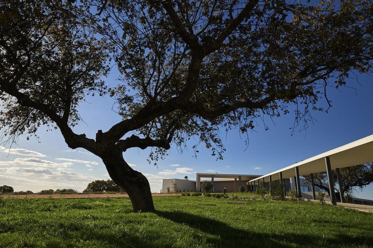 Herdade dos Delgados Mourão Buitenkant foto