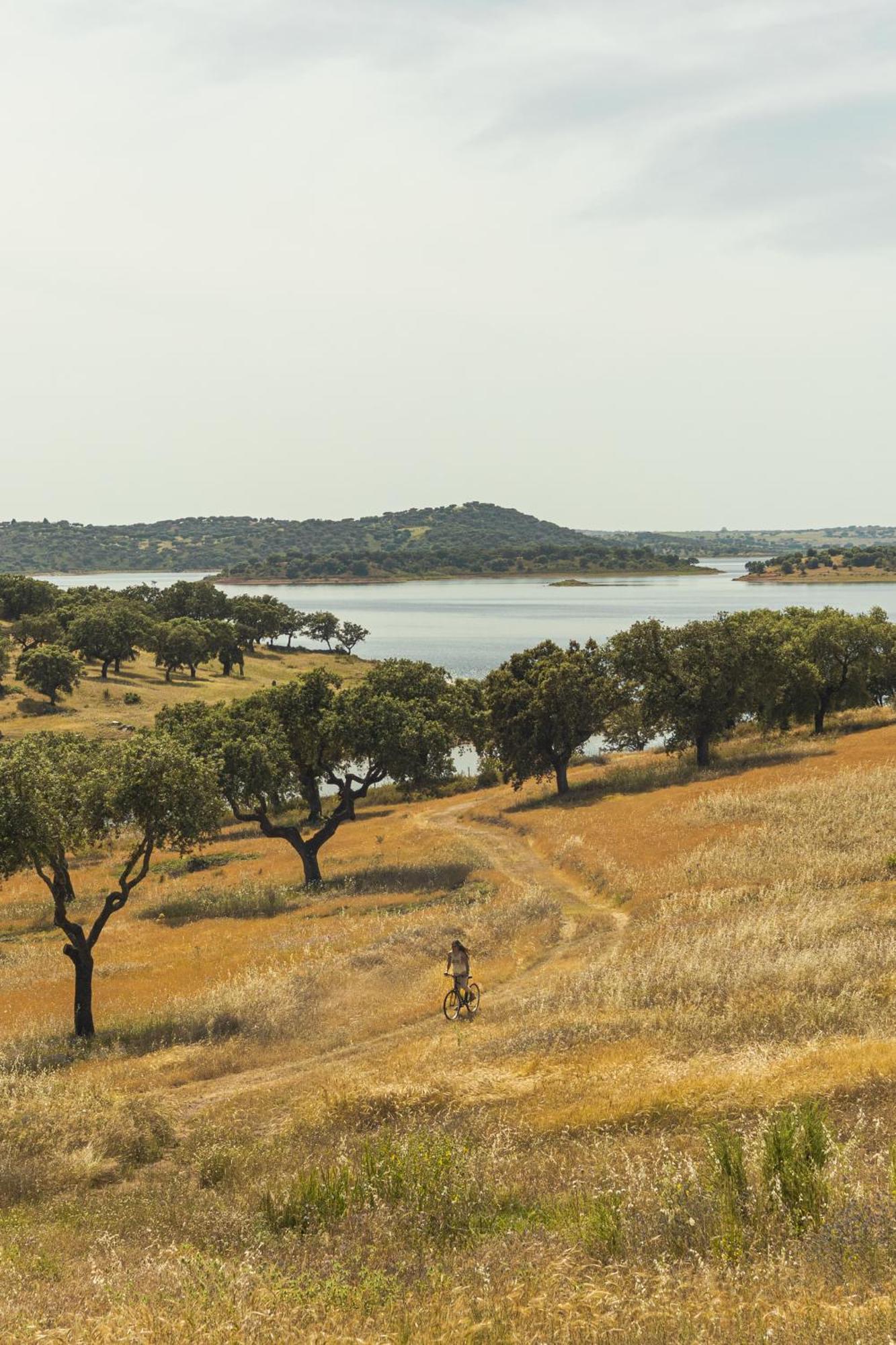Herdade dos Delgados Mourão Buitenkant foto